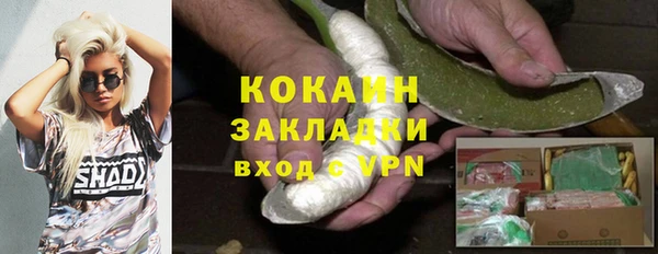 метадон Богданович