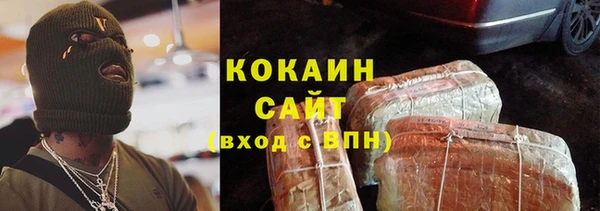 индика Богородицк