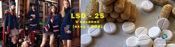индика Богородицк