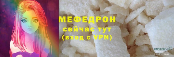 индика Богородицк