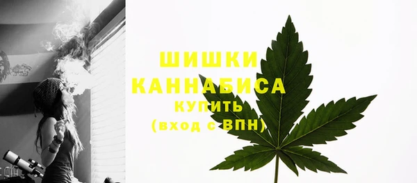 метадон Богданович