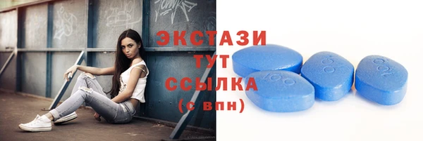 индика Богородицк