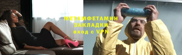 индика Богородицк