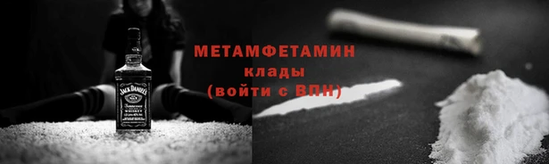 индика Богородицк
