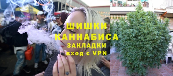 метадон Богданович