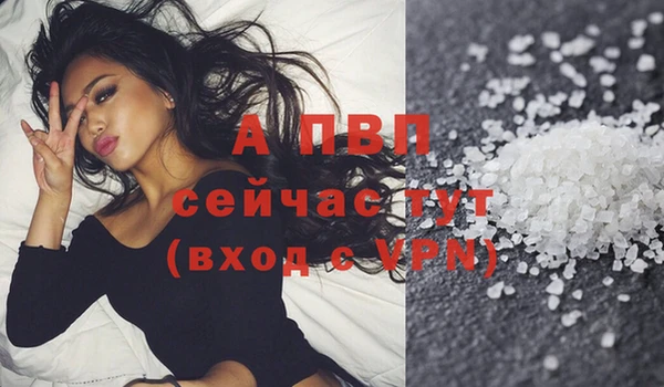 метадон Богданович