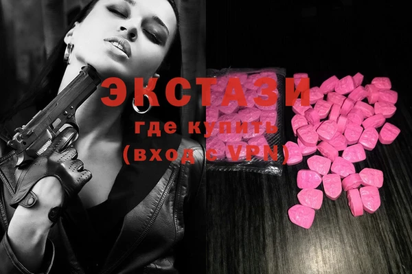 индика Богородицк