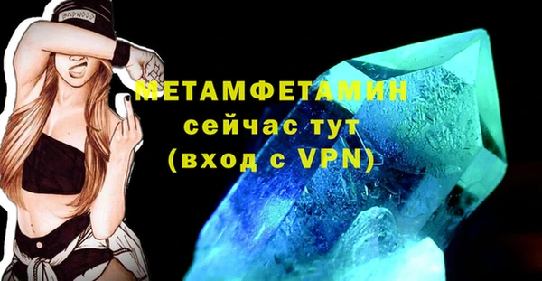 индика Богородицк