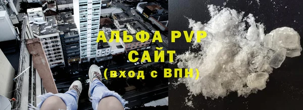 индика Богородицк
