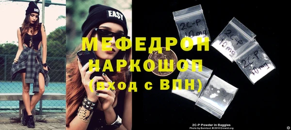 индика Богородицк