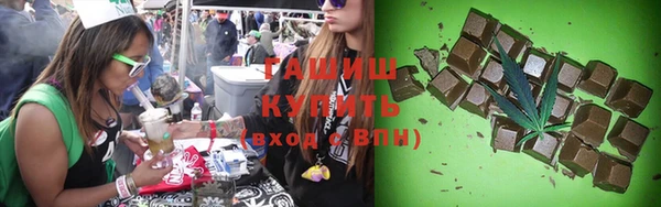 индика Богородицк