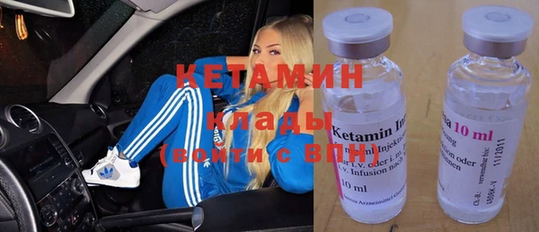 индика Богородицк